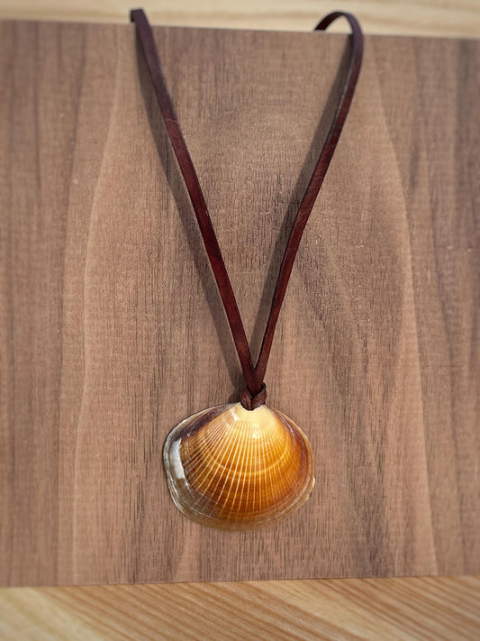 Natural Shell Necklace With Leather Thong, 100% Plastic Free