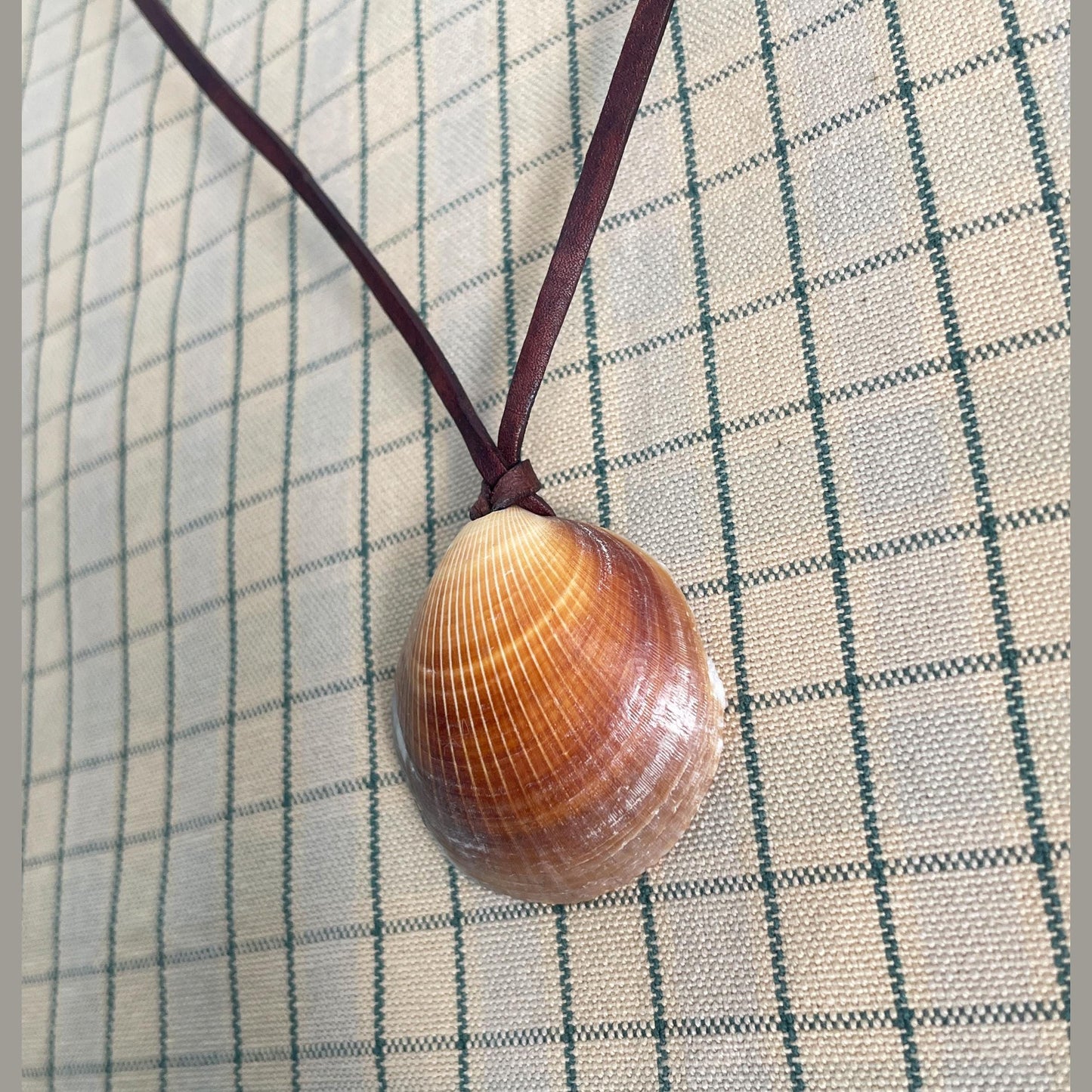 Natural Shell Necklace With Leather Thong, 100% Plastic Free