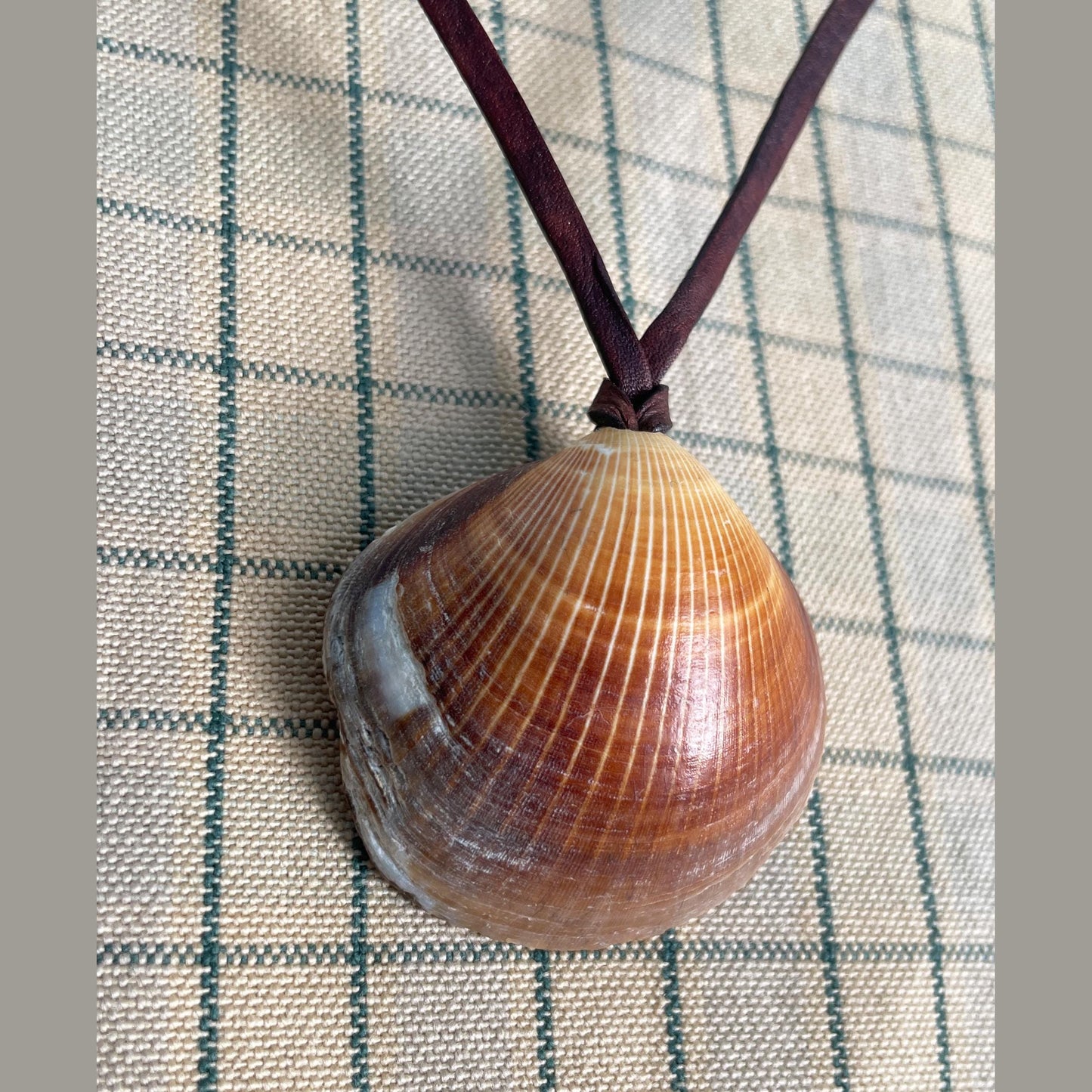 Natural Shell Necklace With Leather Thong, 100% Plastic Free