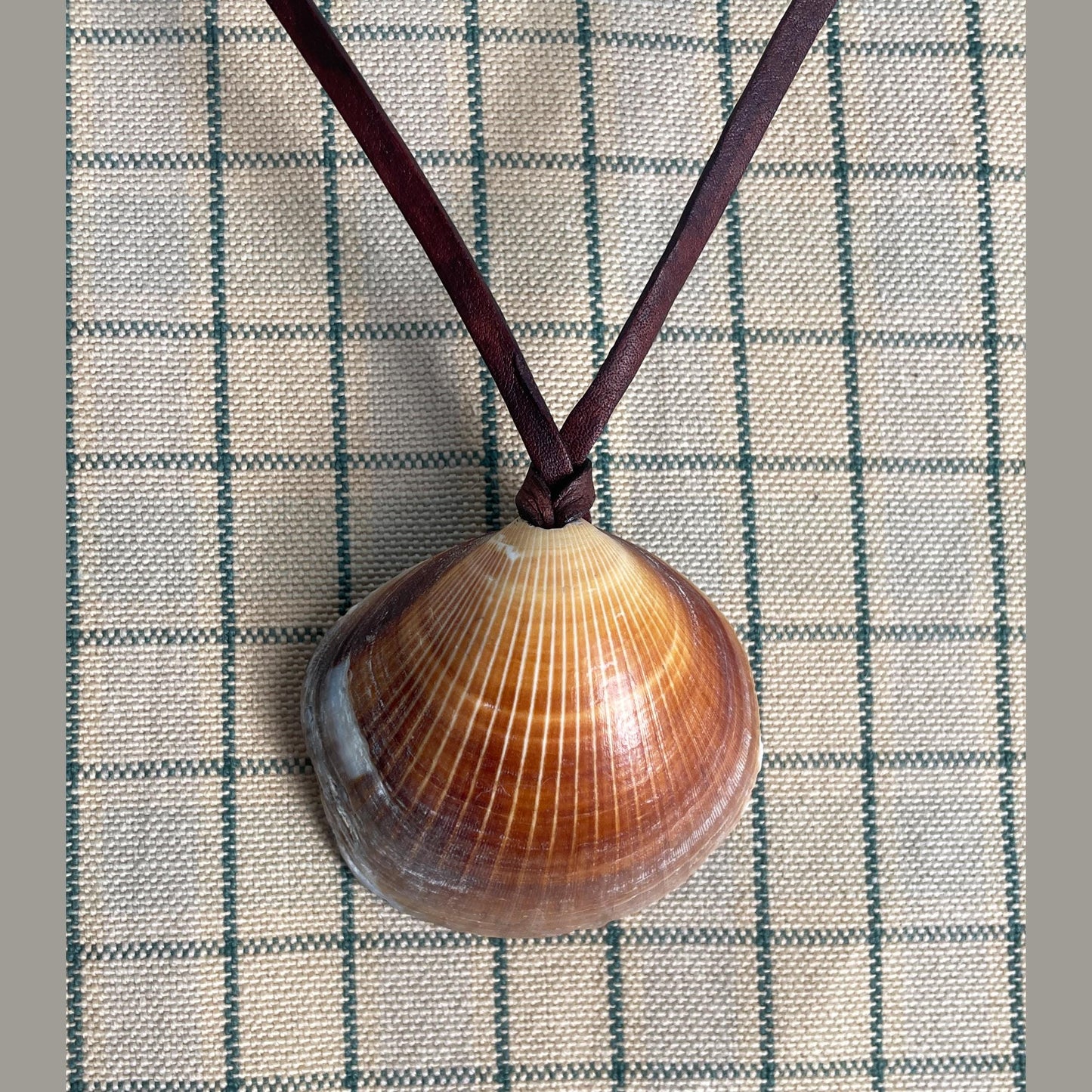 Natural Shell Necklace With Leather Thong, 100% Plastic Free