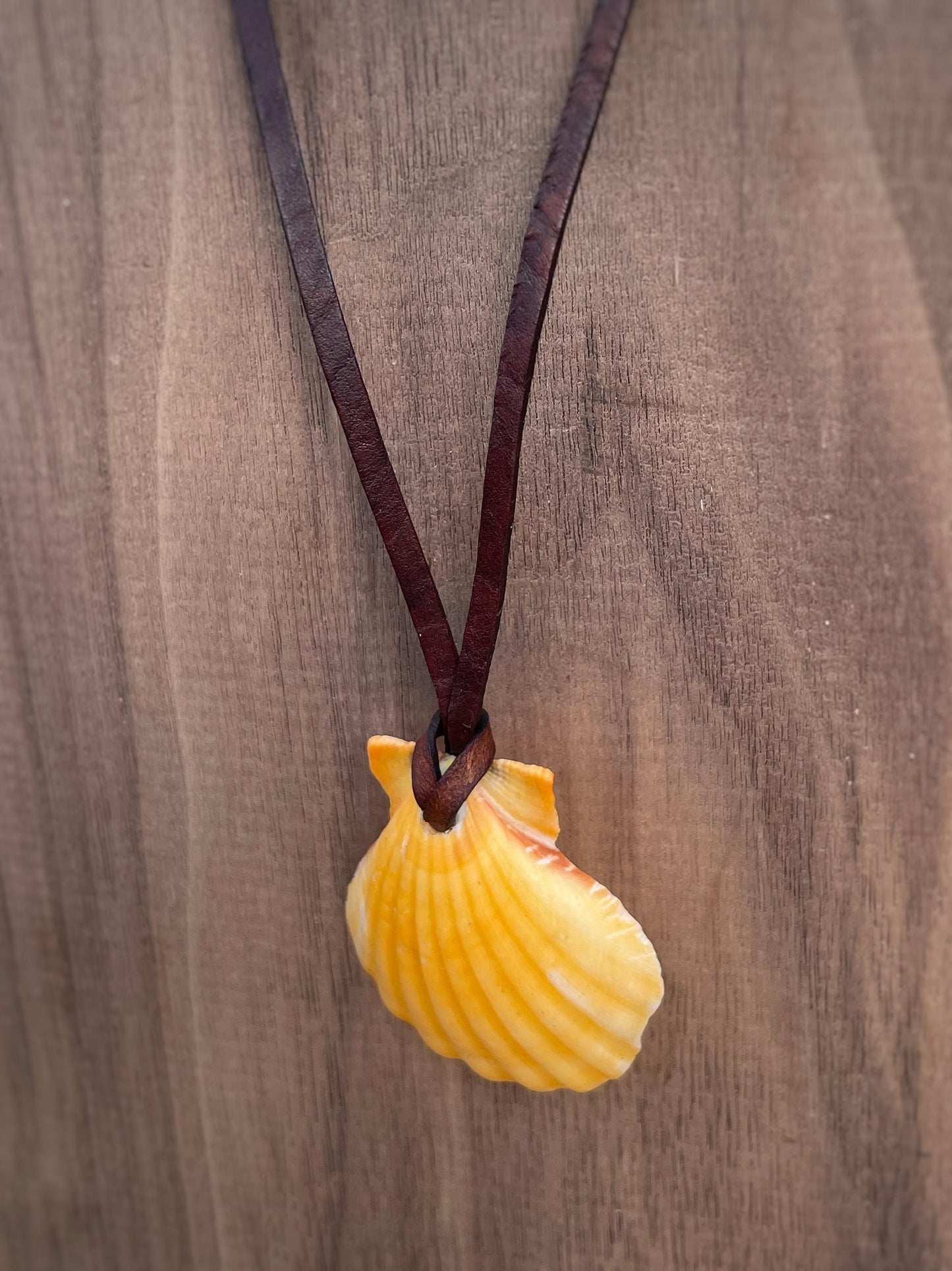 Natural Orange Shell Necklace With Leather Thong, 100% Plastic Free